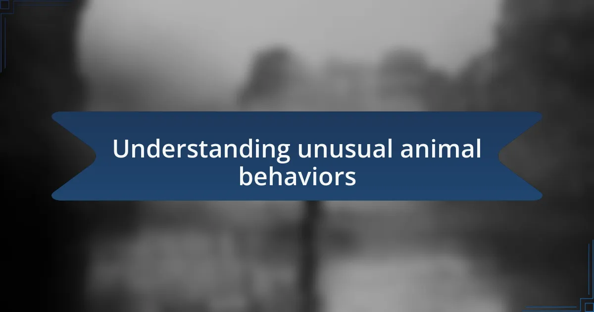 Understanding unusual animal behaviors